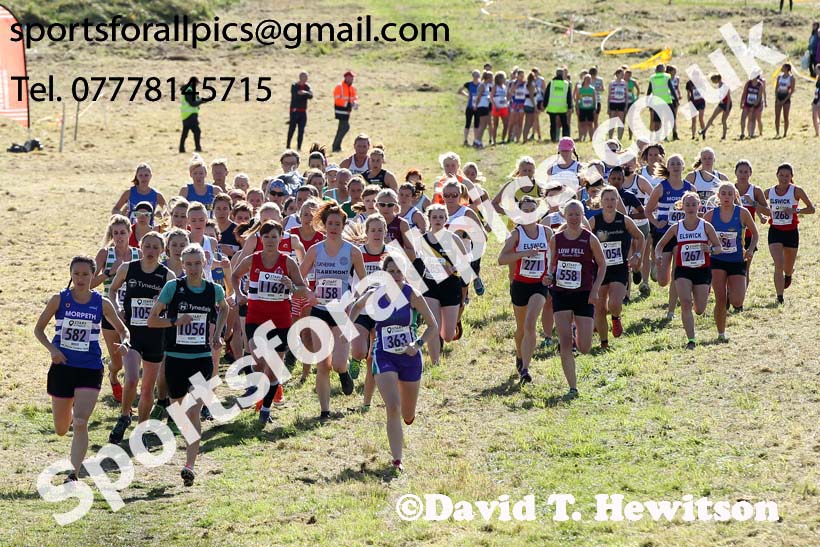 Senior womens 2019 Start Fitness Harrier League, Wrekenton, Gateshead. Photo: David T. Hewitson/Sports for All Pics